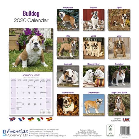 Bulldog Calendar 2020 Pet Prints Inc