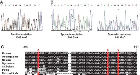 Tdp 43 Mutations In Familial And Sporadic Amyotrophic Lateral Sclerosis