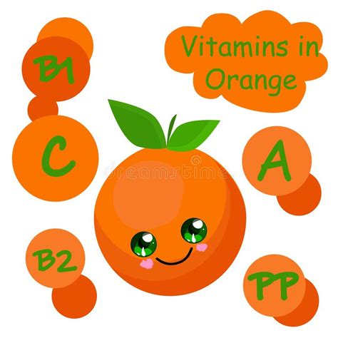 Vitamins Minerals Orange Fruit Stock Illustrations 227 Vitamins