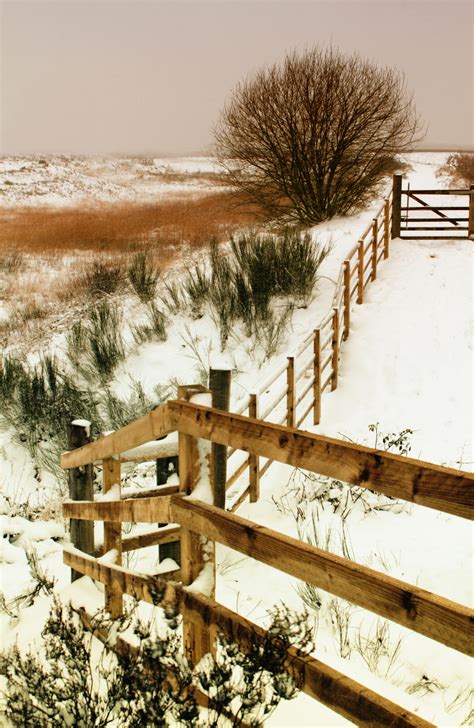 무료 이미지 경치 나무 집 밖의 산 눈 감기 하늘 목재 태양 화이트 아침 서리 얼음 시골의