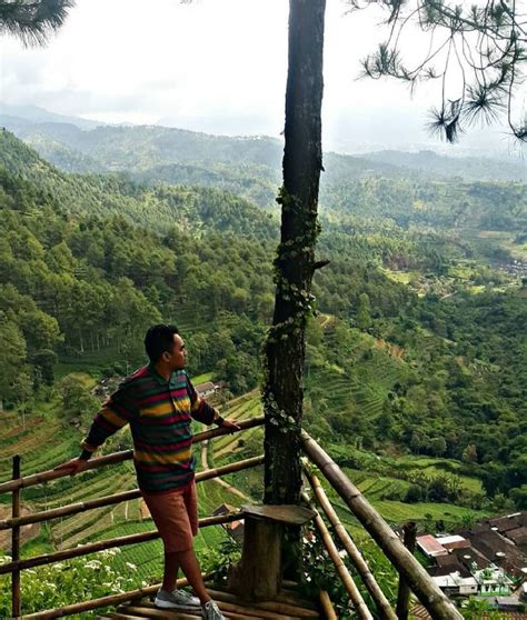 Tempat wisata ini juga dekat dengan wisata omah kayu dan juga wisata paralayang batu jam buka: Goa Pinus Malang, Spot Foto Terbaru, Tiket Masuk dan Lokasi