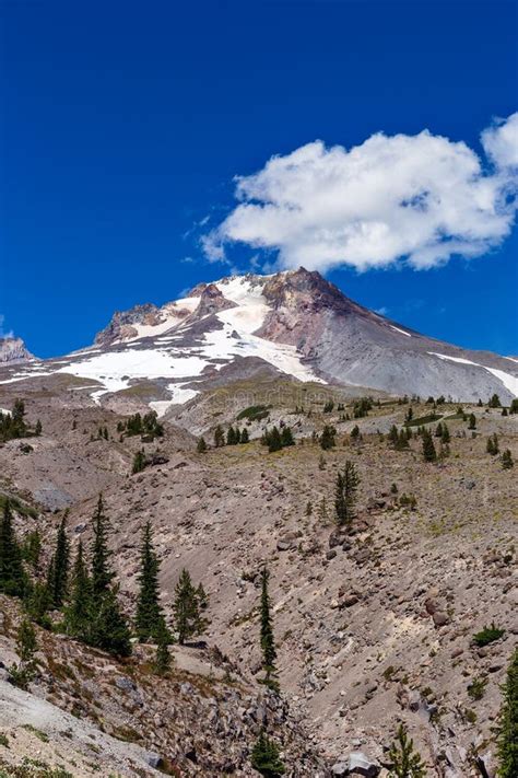 544 Mt Hood Oregon Summer Stock Photos Free And Royalty Free Stock