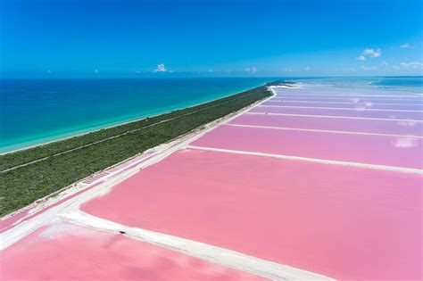 Las Coloradas Visiting Mexicos Amazing Pink Lakes