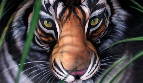 Body Painting Tiger Body Art Painting Illusion Art Craig Tracy