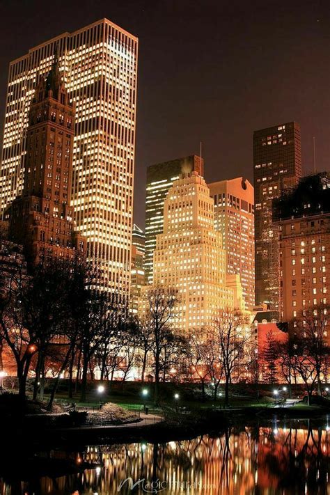 Central Park Lights City Aesthetic New York Life Night City