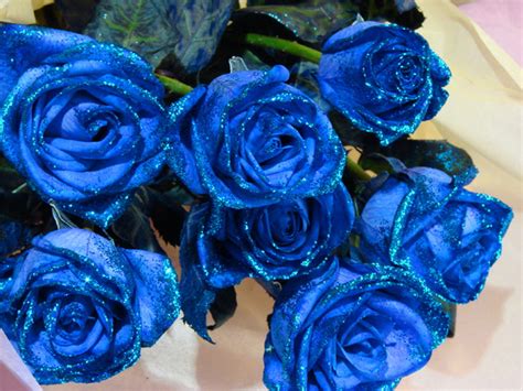 Blue Roses For My Fairy Sister♥ Yorkshirerose Wallpaper 28153299