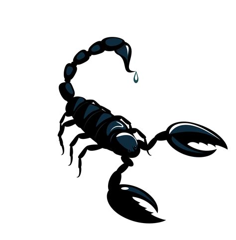 Scorpion Astrological Sign Horoscope Astrology Vector Black Scorpion