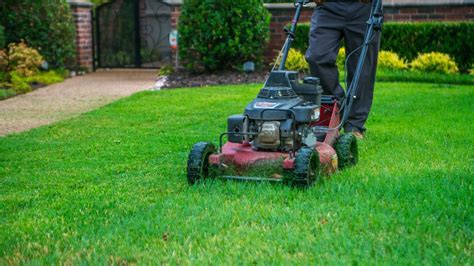 7 Of The Most Important Lawn Care Tips For Texas Homeowners