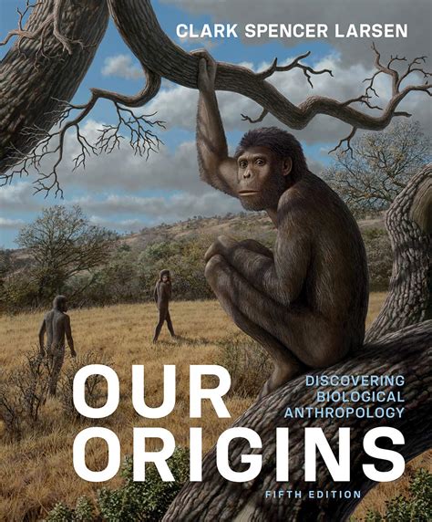 Our Origins Discovering Biological Anthropology Uk Larsen