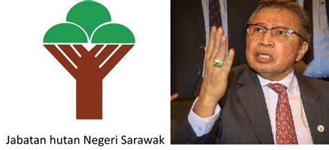 Kursus pengenalan dan pemahaman pensijilan pengurusan hutan (mc&i sfm) bagi jabatan perhutanan negeri johor yang dirasmikan oleh ybhg. Operasi sektor perhutanan ketika PKP: Sarawak 'berani ...