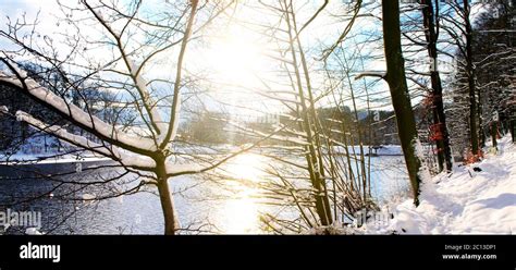 Winter Landscape With Sunshine Trees And Forest Lake Stock Photo Alamy