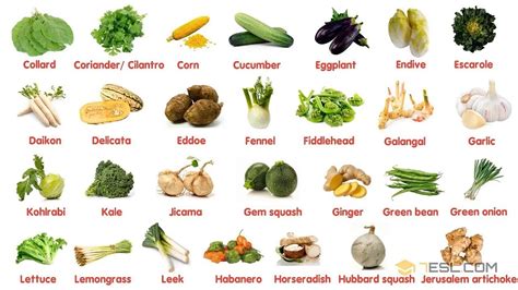100 Most Popular Vegetables In The World Learn Names Of Different