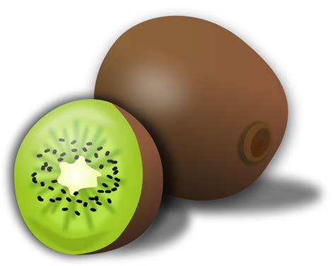 Free Clip Art Kiwi By Gnokii