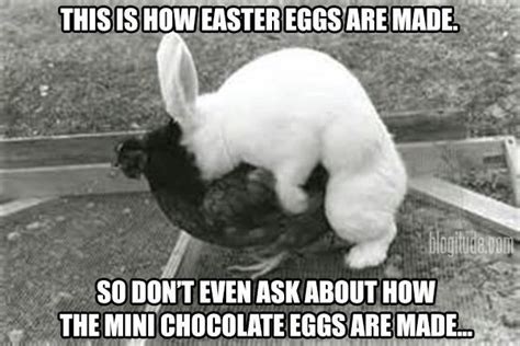 How Easter Eggs Are Made Funny Meme Funny Stuff Funny Easter Bunny