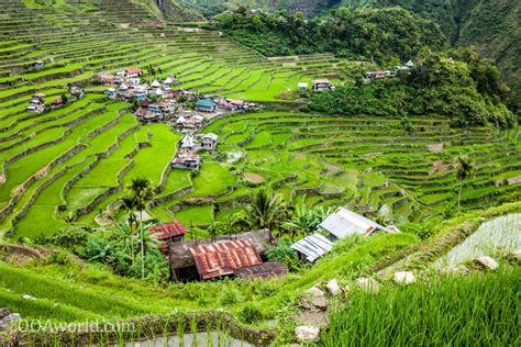 Banaue Batad Rice Terraces Travel Photos Philippines