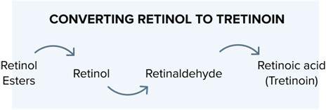 Retinoids Tretinoin And Retinol Everything You Need To Know Skin Me