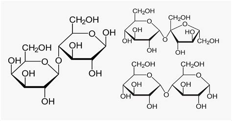 A Sacarose é Um Carboidrato Muito Soluvel Em Agua