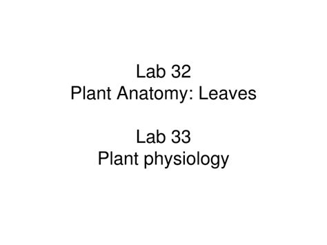 Ppt Lab 32 Plant Anatomy Leaves Lab 33 Plant Physiology Powerpoint