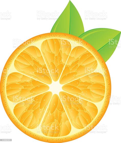 Orange Stock Illustration Download Image Now Citrus Fruit Cut Out