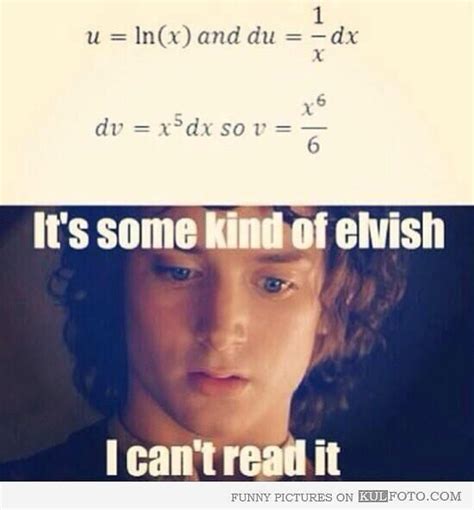 Some Kind Of Elvish Lotr Funny Exams Memes Funny Pictures