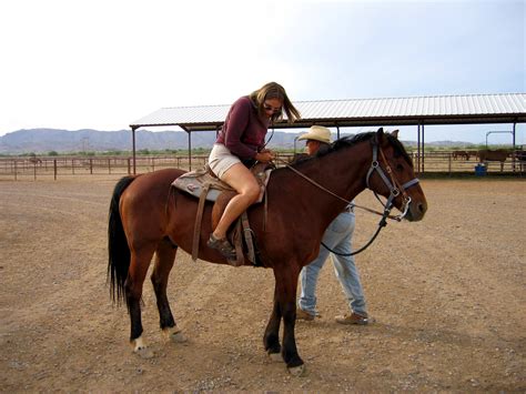Fileriding Horse On Farm