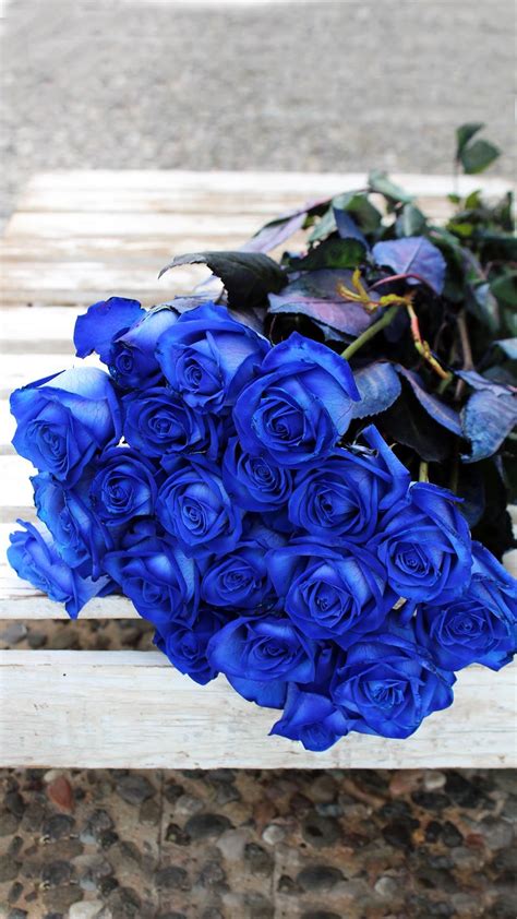 Send A Beautiful Bouquet Of Blue Roses Choose Quantity Luxury Flowers