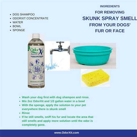 Remove skunk spray smell from your dogs fur or face with OdorXit