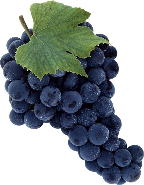 Grape Png Image Download Free Picture