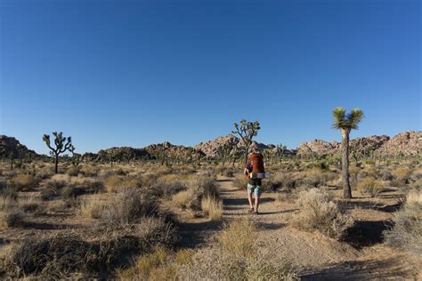 Backpacking The Boy Scout Trail Joshua Tree National Park