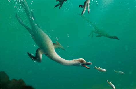 The Birth Of Modern Man Archaeology News New Semi Aquatic Theropod