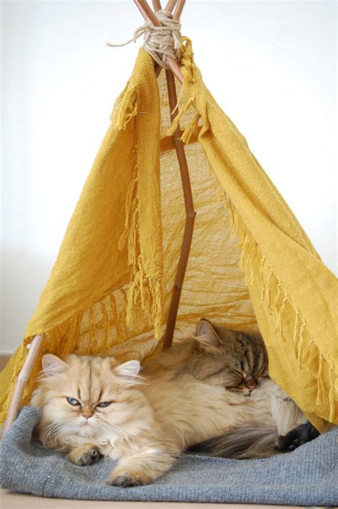 Diy Cat Teepee Fast Free And Easy Meow Lifestyle