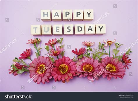Happy Tuesday Flowers Images Browse 1210 Stock Photos And Vectors Free