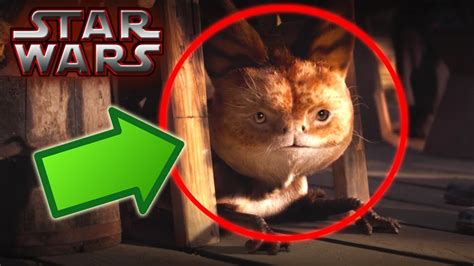 Loth Cats Canon Star Wars Explained Youtube