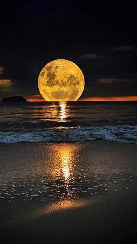 Download Golden Beautiful Moon In The Sea Wallpaper