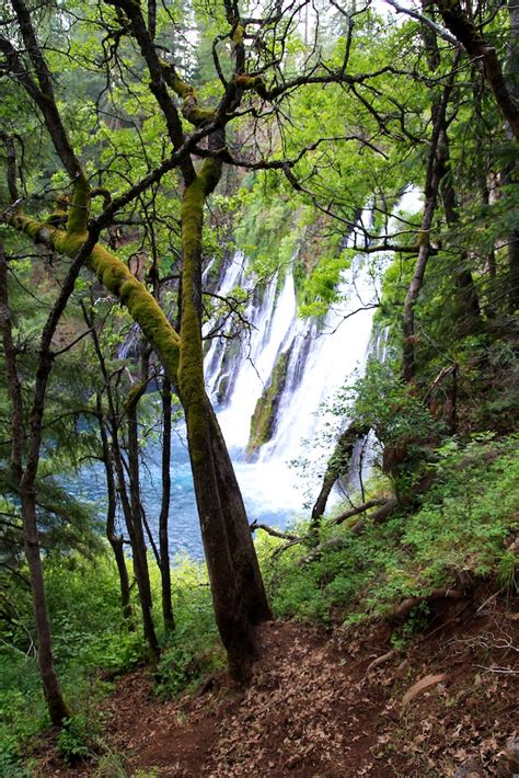 Mcarthur Burney Falls A Mesmerizing Waterfall In Northern California