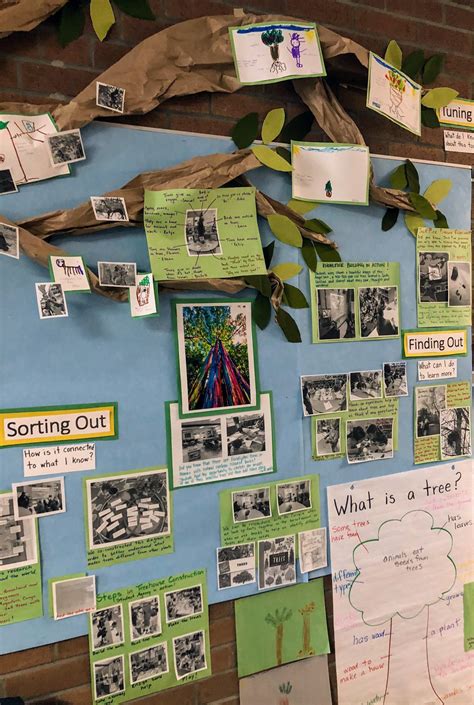The Living Walls Project Promoting Student Centred Learning Inquiry