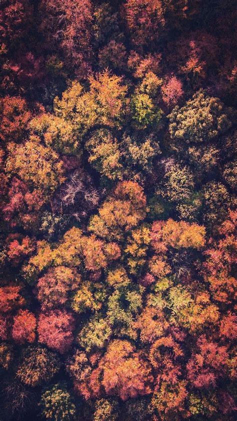 15 Gorgeous Happy Fall Iphone X Wallpapers Preppy Wallpapers