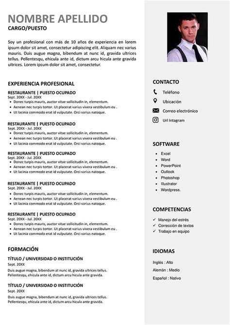 ᐉ Ejemplo De Currículum Técnico De Imagen Plantilla Guía