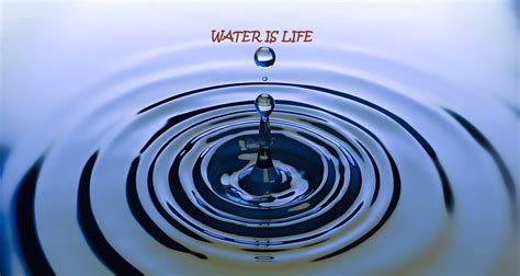 Water Is Life Understand Importance Of Water Gl Baat