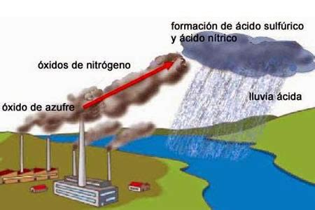 Ecología Ecología y medio ambiente Efectos de la contaminación