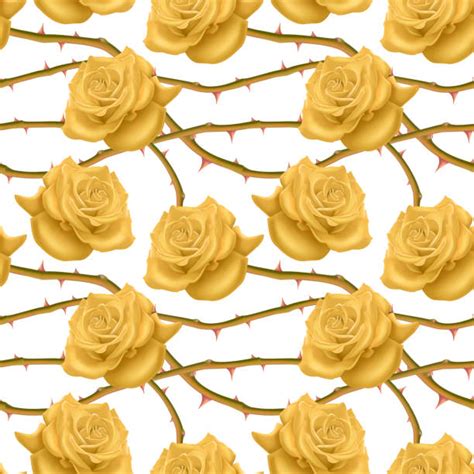 Rose Thorns Illustrations Royalty Free Vector Graphics And Clip Art Istock