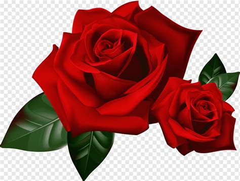 Animated Red Roses