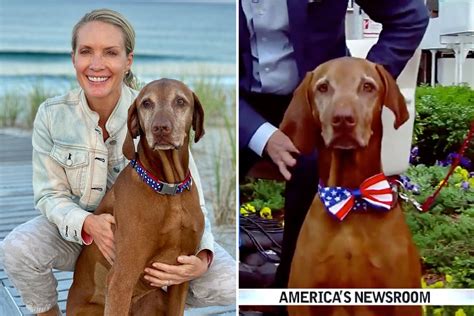 Americas Dog Jasper Dies From Fast Spreading Cancer Aged 9 Fox News