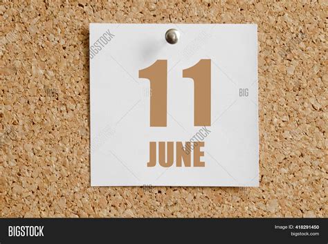 June 11 11th Day Image And Photo Free Trial Bigstock