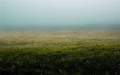 Green Grass Field Under Gray Sky Photo Free Nature Image On Unsplash