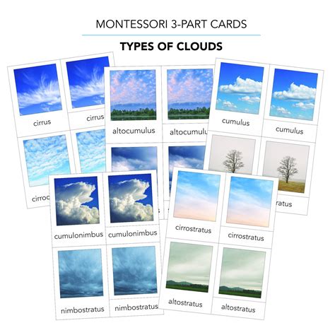 Types Of Clouds Printable Cloud 3 Part Cards Montessori Etsy