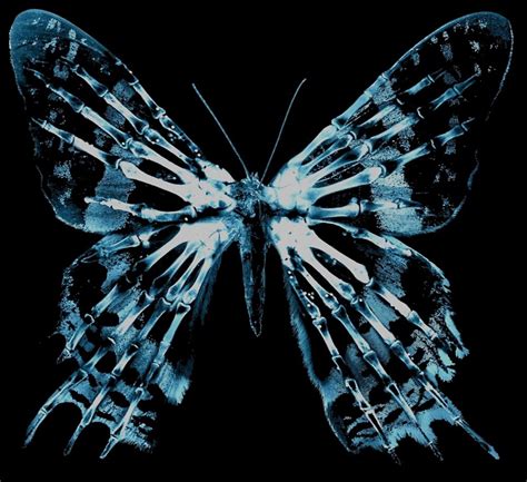 Butterfly Skeleton By Nefos Redbubble