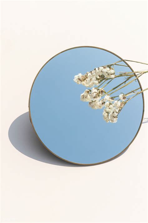 Dried White Statice Flower Over A Round Mirror Premium Image By