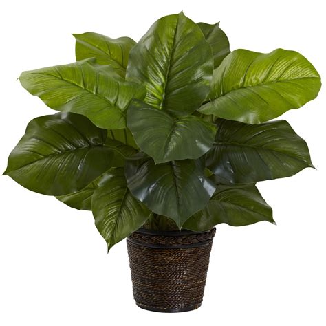29 Large Leaf Philodendron Silk Plant Real Touch Silk Specialties