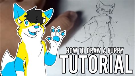 How To Draw A Furry Tutorial Youtube